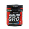 iSatori Amino-Gro